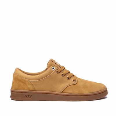 Supra CHINO COURT - Miesten Tennarit - Ruskea